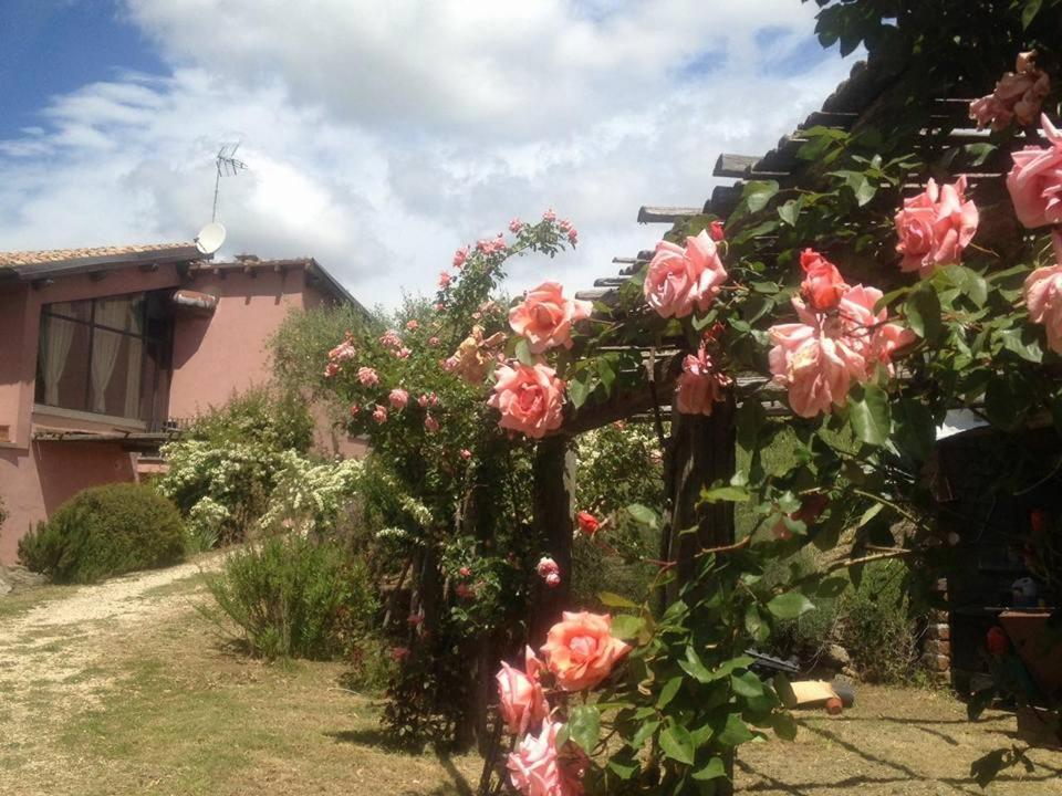 La Chiesuola Bed & Breakfast Bagnaia  Eksteriør bilde