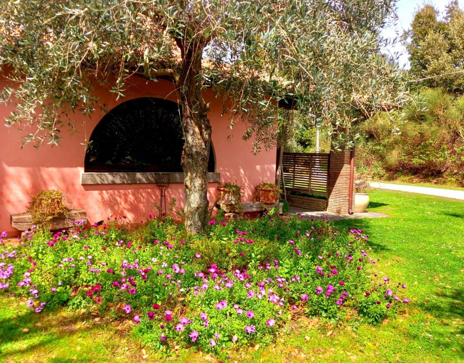 La Chiesuola Bed & Breakfast Bagnaia  Eksteriør bilde